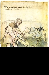 Mendel I 007 v