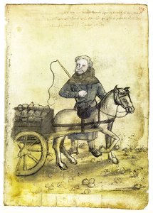 Mendel I 119 r