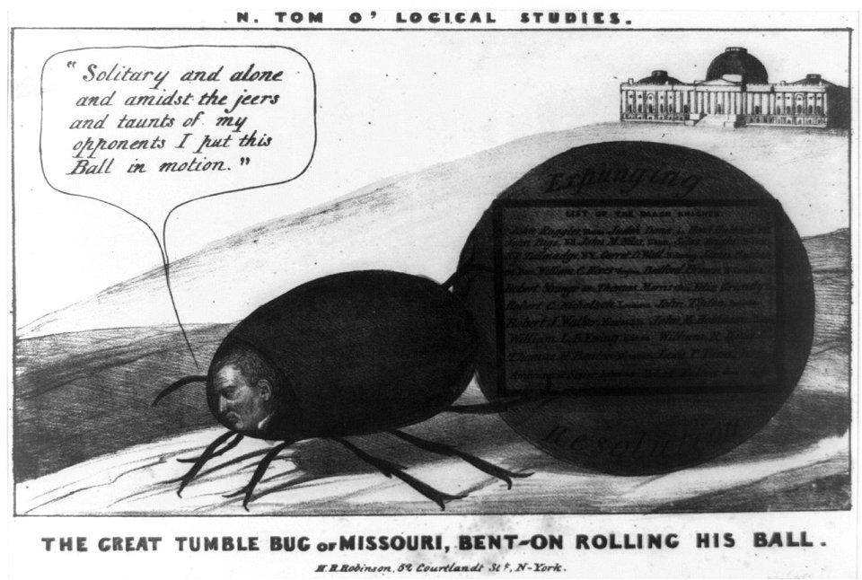 N. Tom o' logical studies. The great tumble bug of Missouri, bent-on rollin his ball LCCN2008661310
