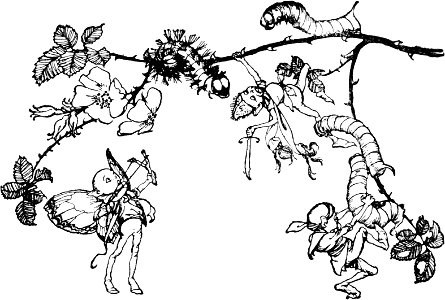 Midsummer-Nights Dream-Rackham-084
