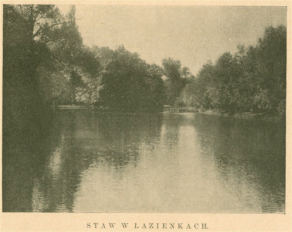 Łazienki Staw w Łazienkach (80464)