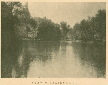 Łazienki Staw w Łazienkach (80464)