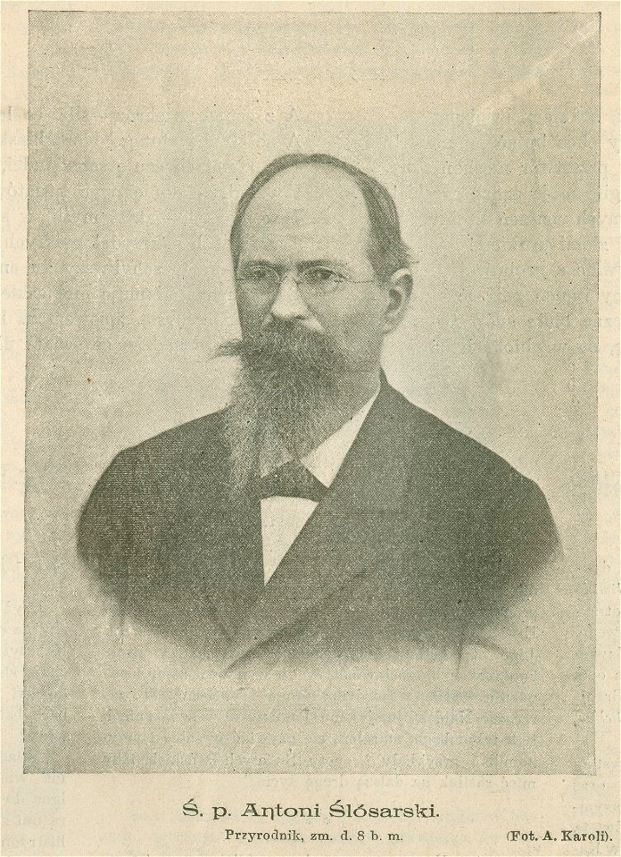 Ś. p. Antoni Ślósarski Przyrodnik zm. d. 8 b. m. Fot. A. Karoli (79540)