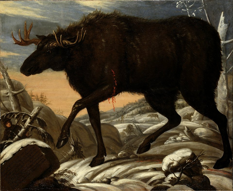 Älg - Nationalmuseum - 77513