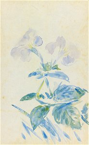 Édouard Manet - Pervenches