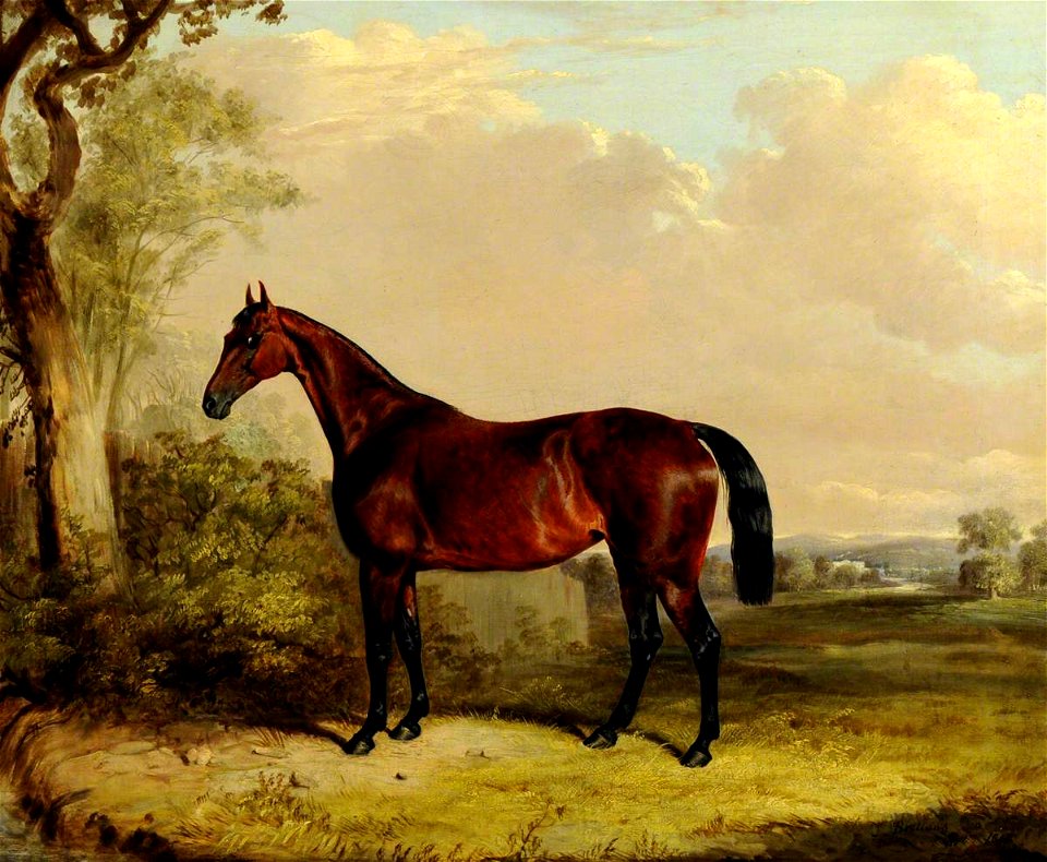 Thomas Walker Bretland (1802-1874) - A Bay Hunter in a Landscape - 290287 - National Trust