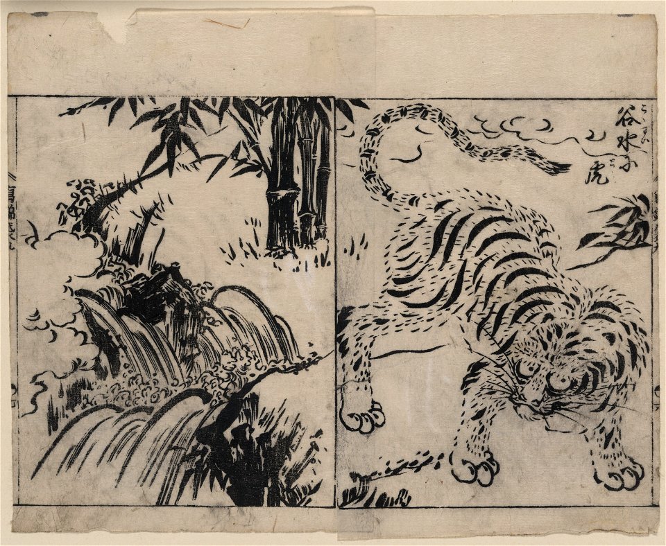 Tiger near a cataract LCCN2008660989