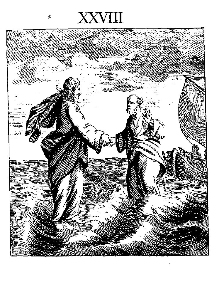 TrimmerJesusWater