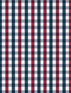 White blue plaid. Free illustration for personal and commercial use.