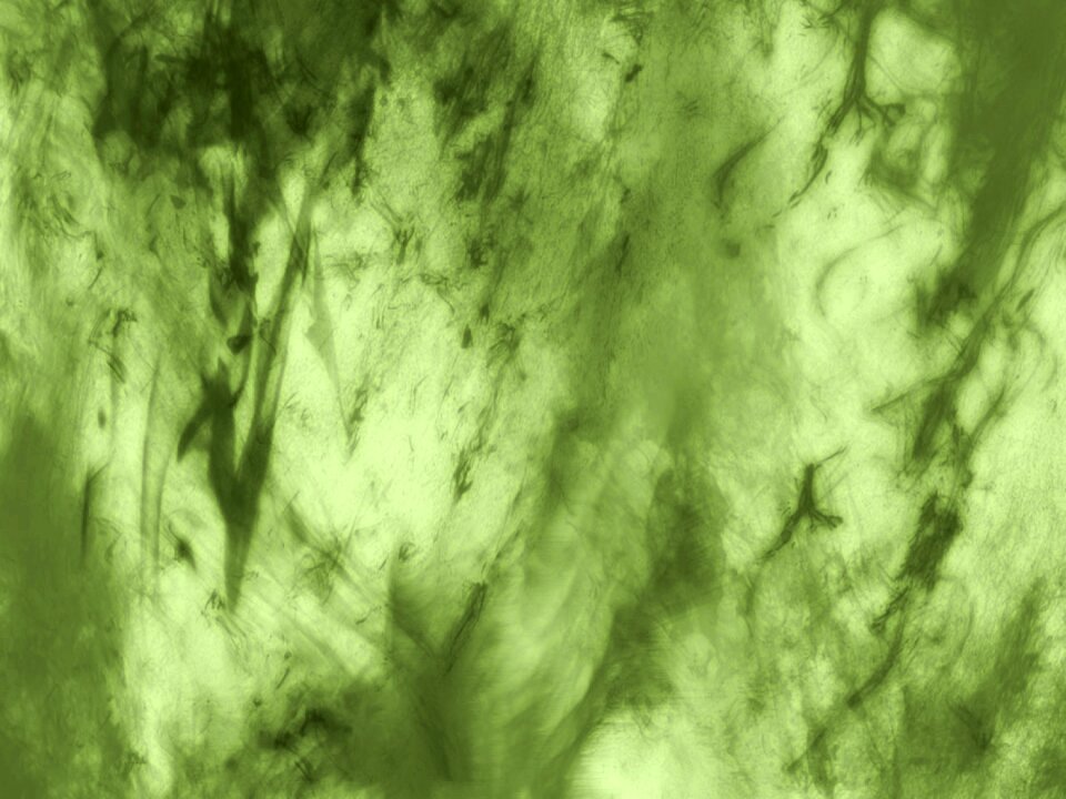 Green pattern grunge. Free illustration for personal and commercial use.