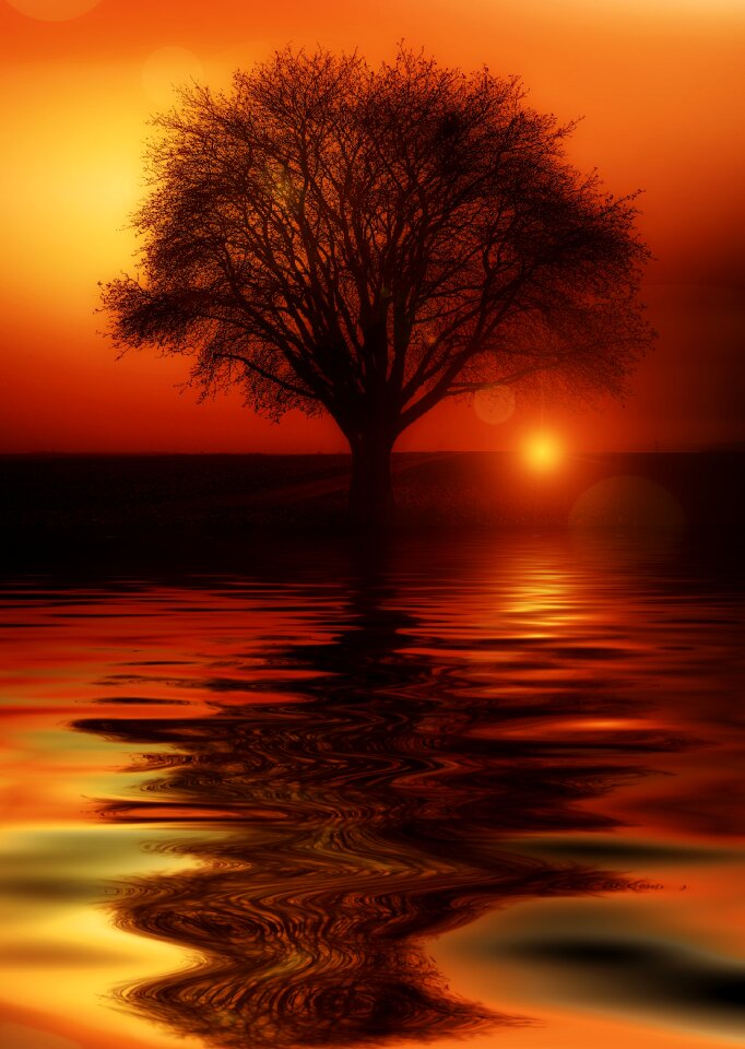 High water solitary sunset. Free illustration for personal and commercial use.