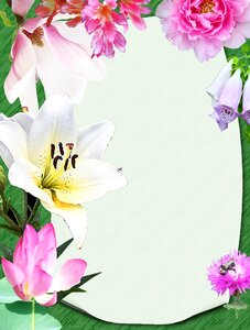 Tropical lily dahlia. Free illustration for personal and commercial use.