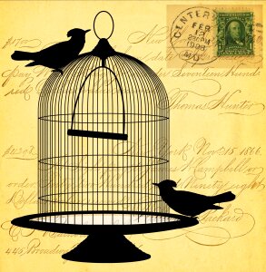 Birds birdcage cage. Free illustration for personal and commercial use.