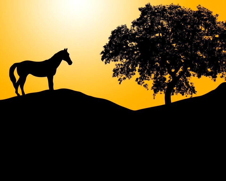 Equine black silhouette. Free illustration for personal and commercial use.