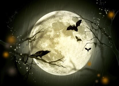 Fairy tale moon crow. Free illustration for personal and commercial use.