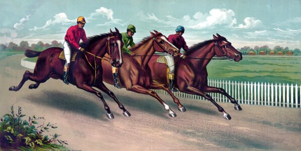 Thoroughbred race racing. Free illustration for personal and commercial use.
