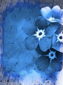 Blue flower nature. Free illustration for personal and commercial use.