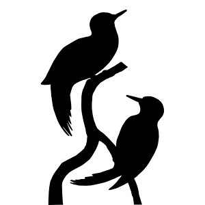 Woodpeckers animal black. Free illustration for personal and commercial use.