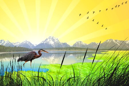 Migratory birds mountains forest. Free illustration for personal and commercial use.