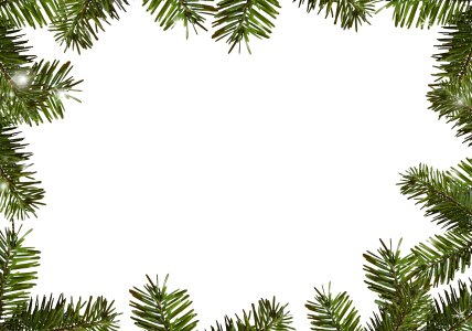 Holly christmas christmasbackground. Free illustration for personal and commercial use.
