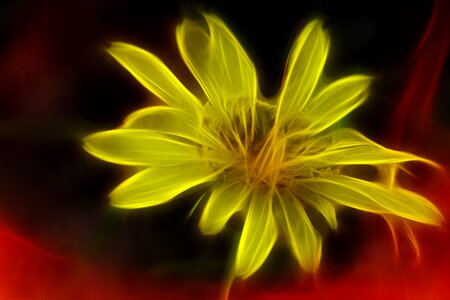 Yellow flower digital artwork. Free illustration for personal and commercial use.