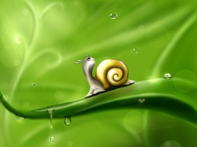 Raindrops mollusk gastropod. Free illustration for personal and commercial use.