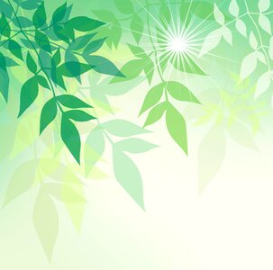 Light branches plant. Free illustration for personal and commercial use.
