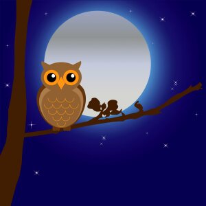 Tree branch night. Free illustration for personal and commercial use.
