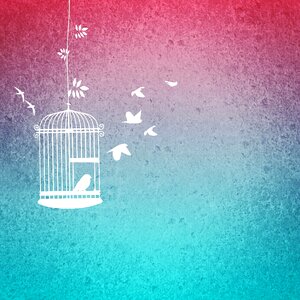Birds background Free illustrations. Free illustration for personal and commercial use.