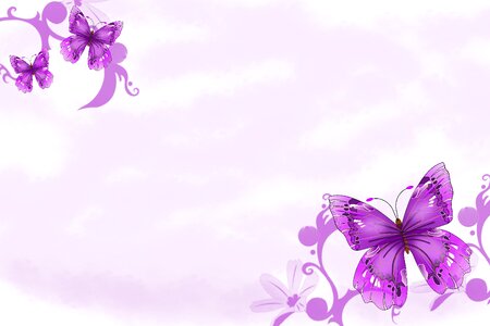 Purple butterflies Free illustrations. Free illustration for personal and commercial use.