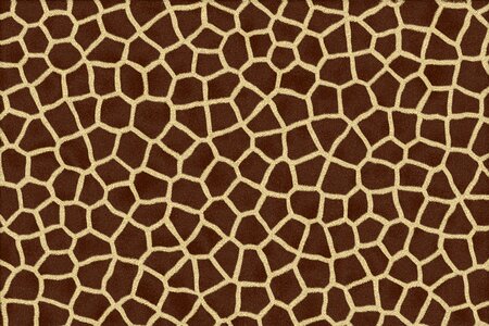 Skin fur pattern. Free illustration for personal and commercial use.