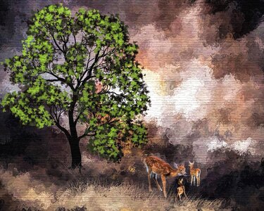 Wildlife fog morning. Free illustration for personal and commercial use.