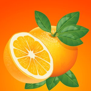 Juicy fresh bright. Free illustration for personal and commercial use.
