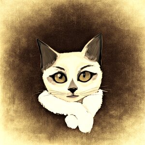 Mieze domestic cat Free illustrations. Free illustration for personal and commercial use.