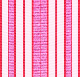 Pink magenta bright. Free illustration for personal and commercial use.