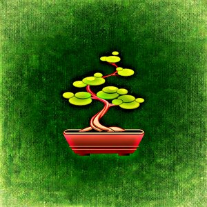 Small green bonsai tree. Free illustration for personal and commercial use.