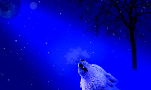 Moon wolf howl. Free illustration for personal and commercial use.