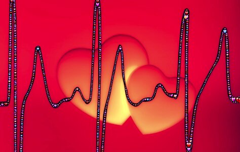 Cardiogram life ecg. Free illustration for personal and commercial use.