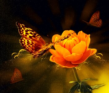 Butterfly nature fantasy. Free illustration for personal and commercial use.