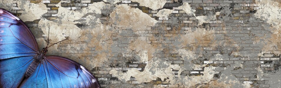 Ease plaster cracks. Free illustration for personal and commercial use.
