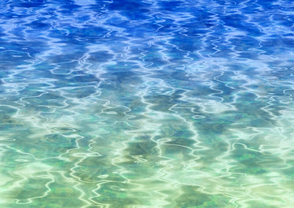 Crystal clear swim. Free illustration for personal and commercial use.