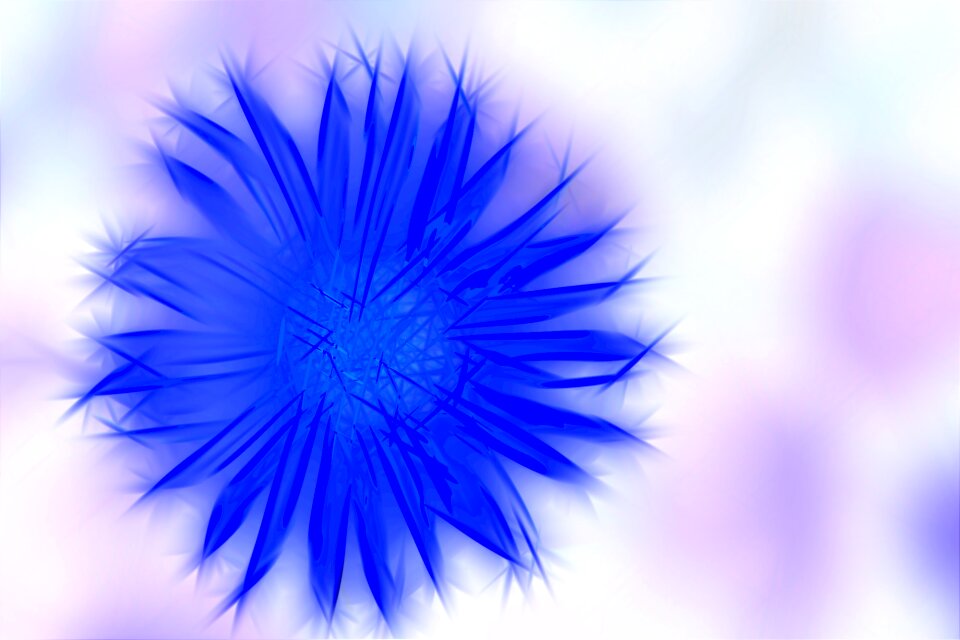 Floral design blue Free illustrations. Free illustration for personal and commercial use.