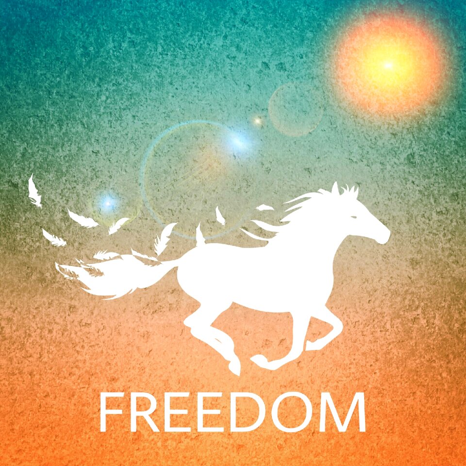 Horse freedom Free illustrations. Free illustration for personal and commercial use.