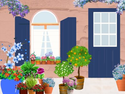 Flowers windows flowering. Free illustration for personal and commercial use.