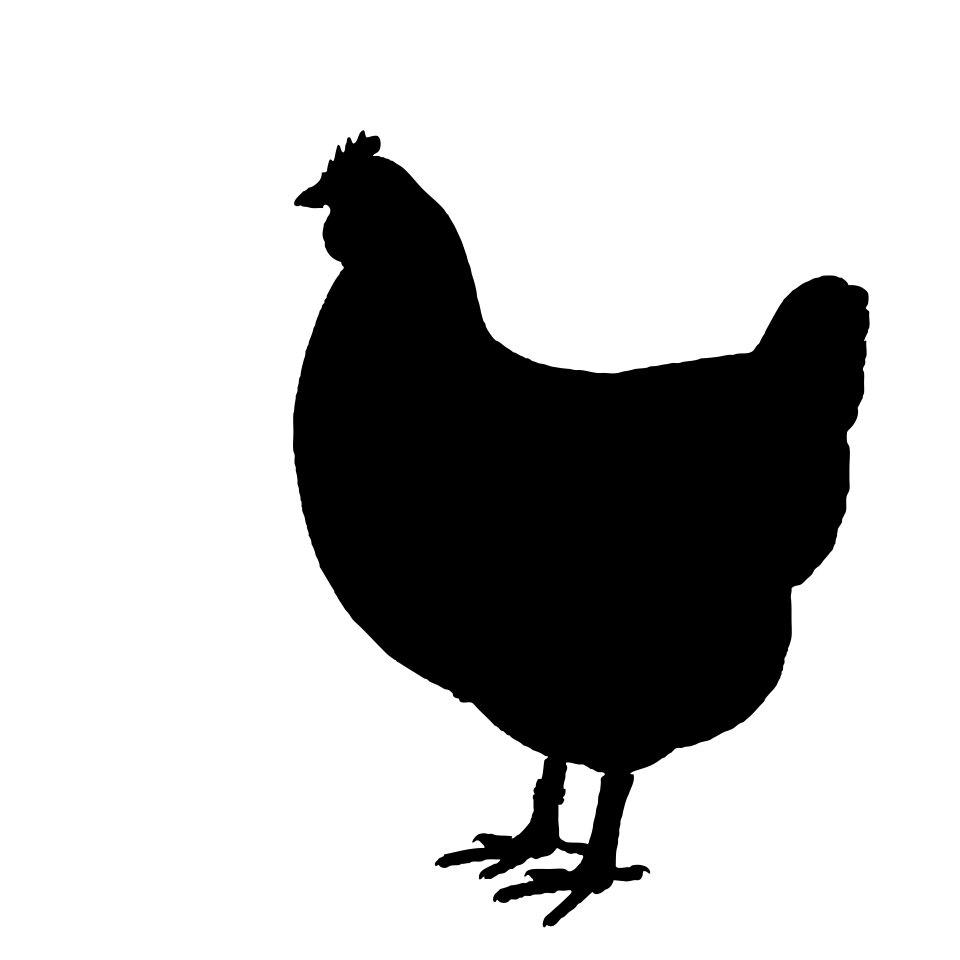 Poultry animal farm animals. Free illustration for personal and commercial use.