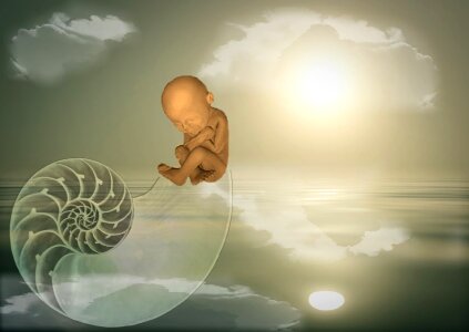 Baby newborn infant. Free illustration for personal and commercial use.