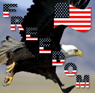 Usa eagle flag. Free illustration for personal and commercial use.