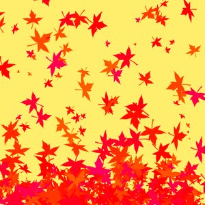 Drop listopad autumn leaf. Free illustration for personal and commercial use.