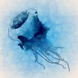 Meeresbewohner water creature blue. Free illustration for personal and commercial use.