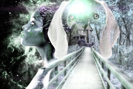 Woman dog bridge. Free illustration for personal and commercial use.